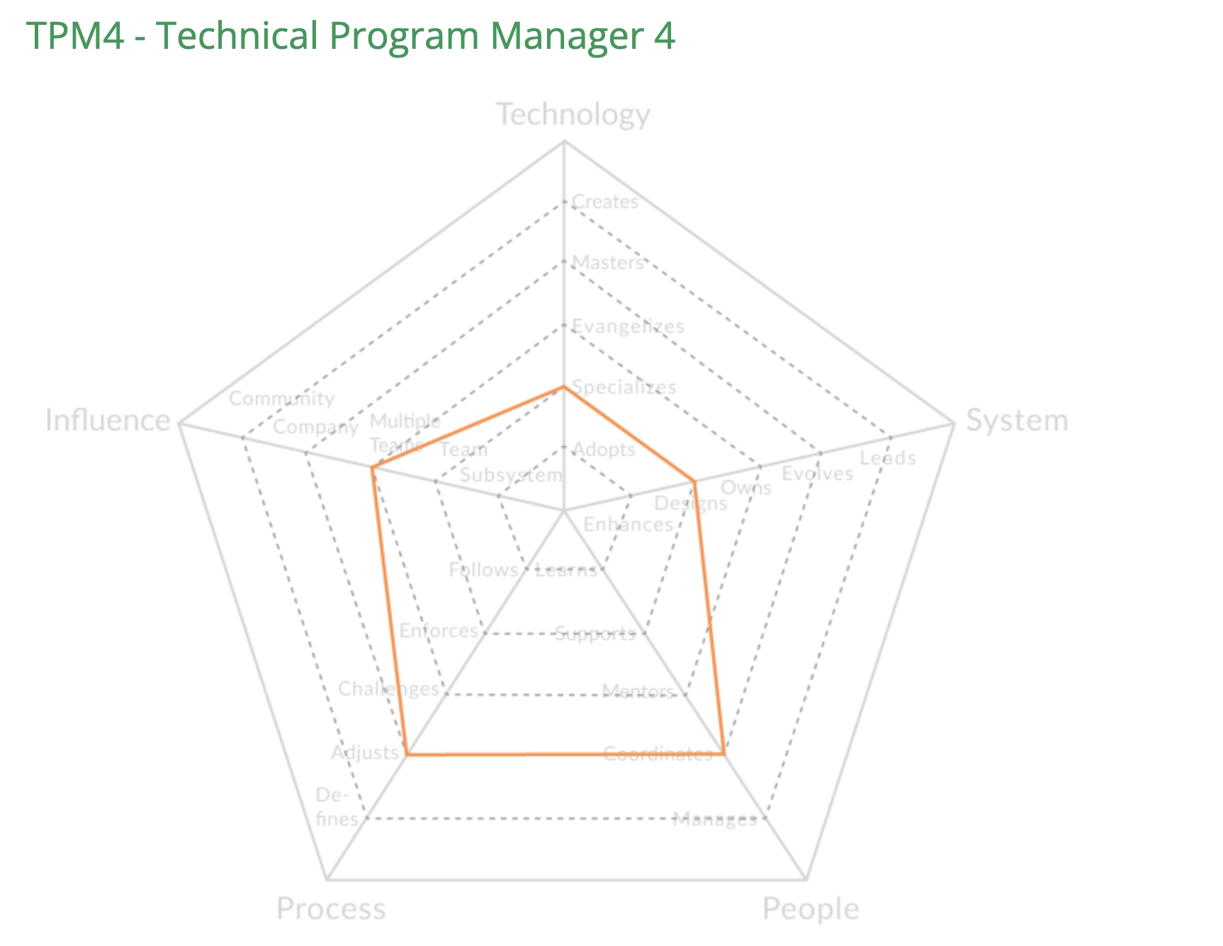 Technical Program Manager 4, Описание позиции в начале