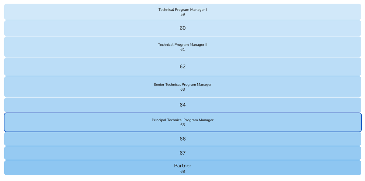 Technical Program Manager, Salary Levels